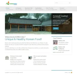 기업 홈페이지, 코리아솔트