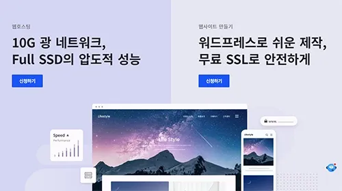 웹 호스팅, 카페24
