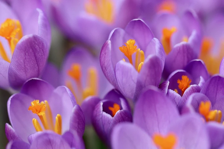 무료 이미지 서비스