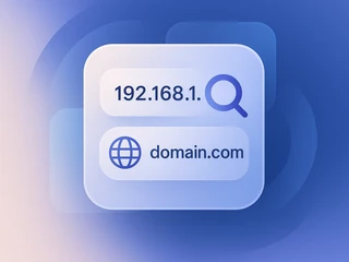 IP 주소 및 도메인 정보 조회, WHOIS 검색