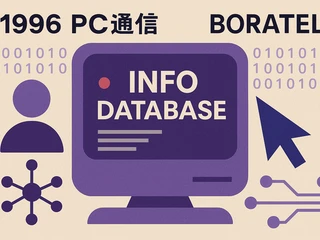 1990년대 중반, 보라텔 데이터베이스 구조 소개
