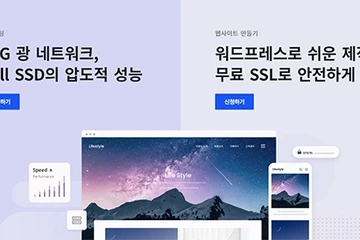 웹 호스팅, 카페24