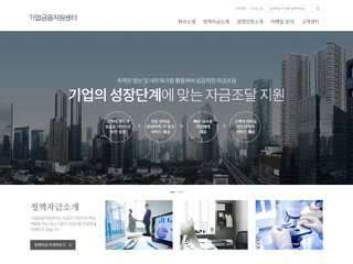 기업 홈페이지, 정책자금도우미