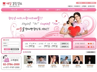 커뮤니티 홈페이지, 배필결혼정보