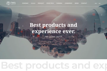 TMS 글로벌