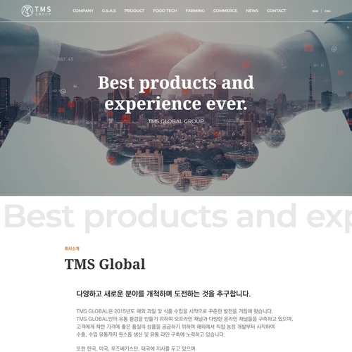 TMS 글로벌