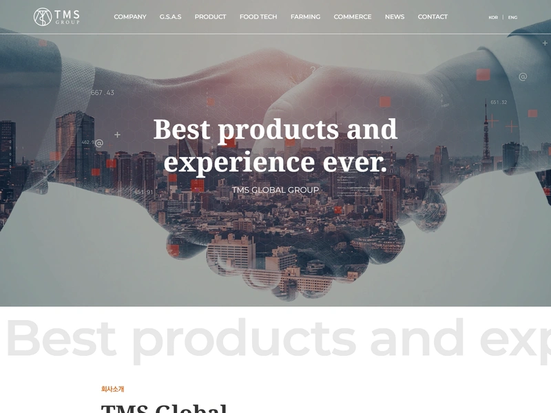 TMS 글로벌