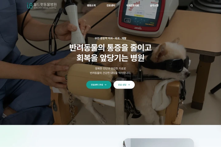 월드펫동물병원