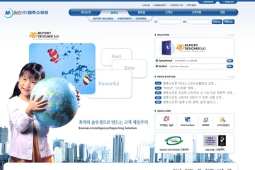 기업 홈페이지, 엠투소프트