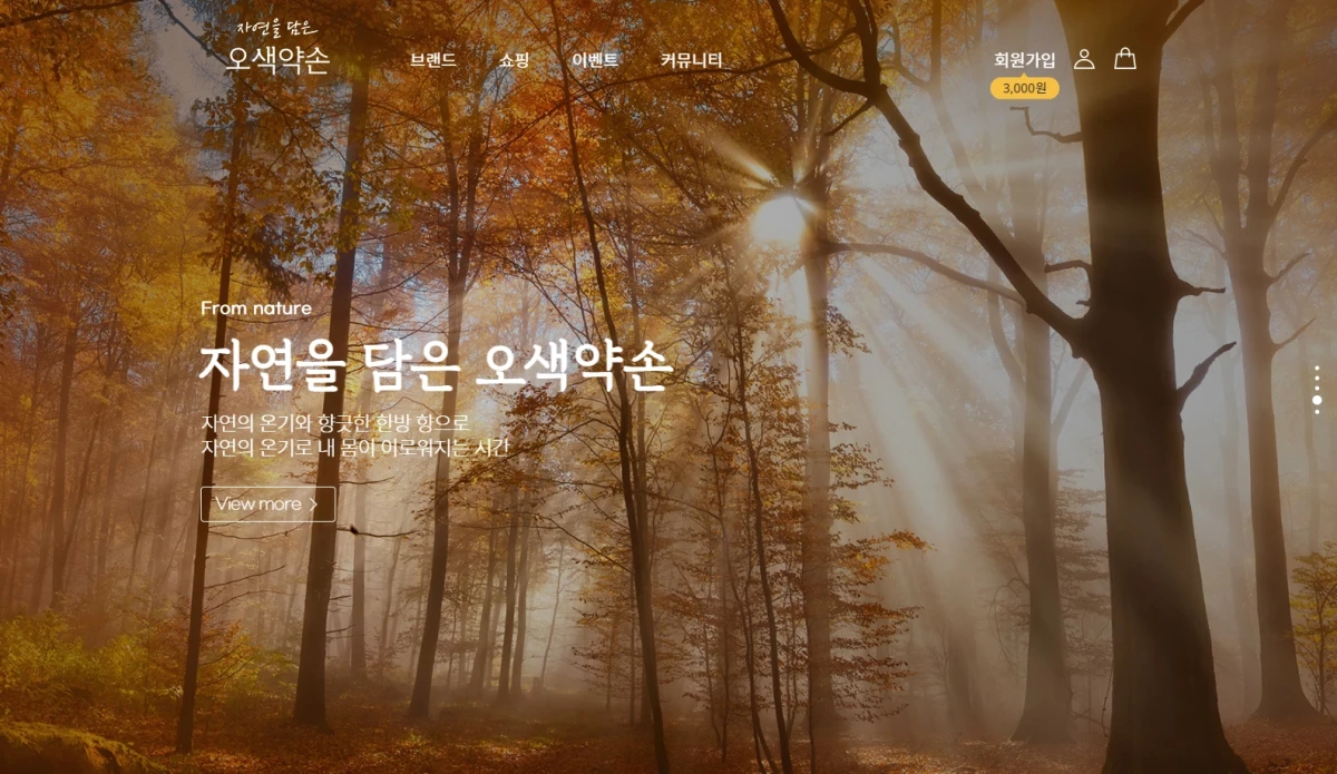 온열 찜질팩과 건강 생활용품 제품이 구성된 웰빙 브랜드 쇼핑몰 메인 페이지