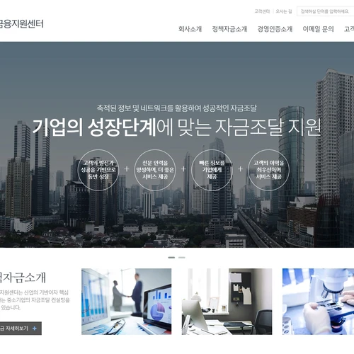 기업 홈페이지, 정책자금도우미