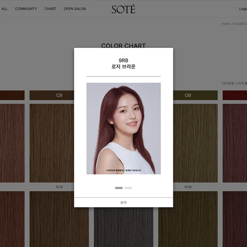 쇼핑몰 유지보수와 컬러 차트 기능 개선