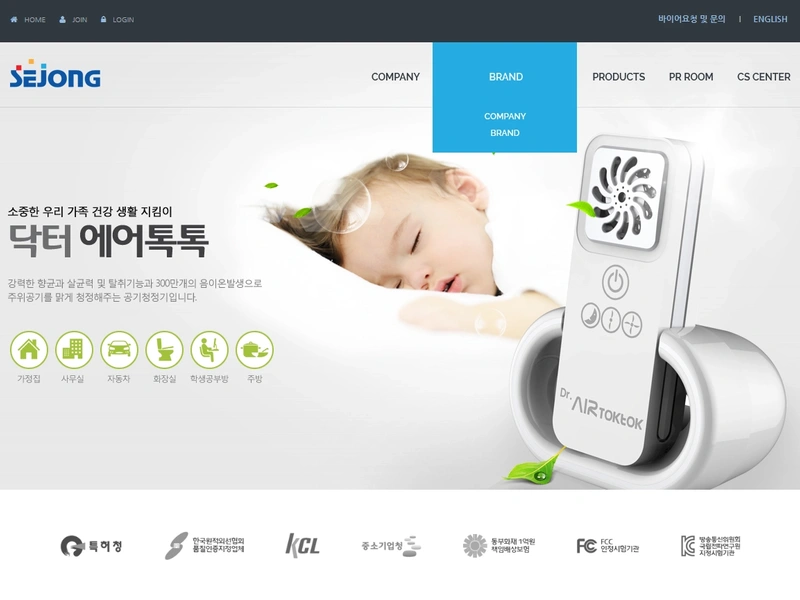 기업 홈페이지, 세종아이앤텍